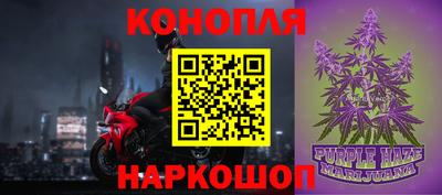 прущие грибы Будённовск