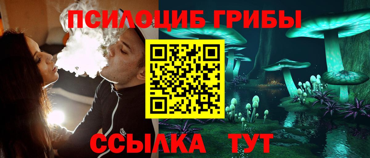 Псилоцибиновые грибы Psilocybine cubensis Усть-Джегута