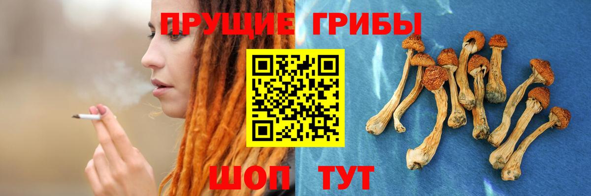 Псилоцибиновые грибы прущие грибы  Вход с VPN  Усть-Джегута 